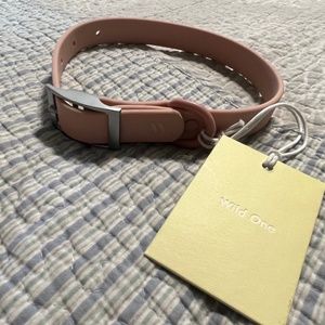 Wild one pet collar